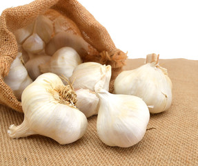Garlic in bag