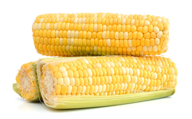 fresh corn fruits with green leaves isolated on white background