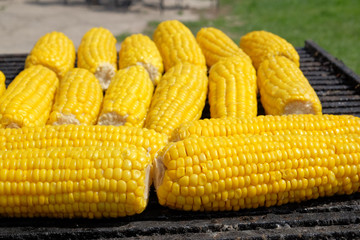 Corn cob on the grill outdoor. Concept party, fastfood or street trading