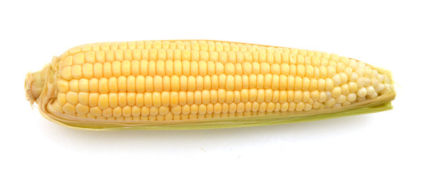 Corn on a white background