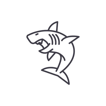 great white shark vector line icon, sign, illustration on white background, editable strokes