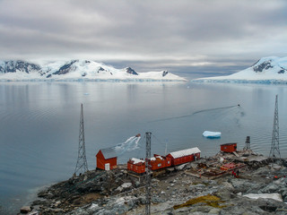 Brown Station, Argentine Antarctic base and scientific research station and home to Gentou penguins on the Antarctic peninsula.
