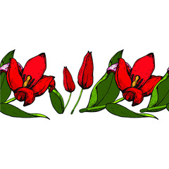 The spring tulips for future design.