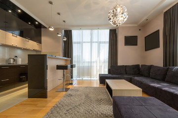 Interior of a modern open plan hotel apartment, living room