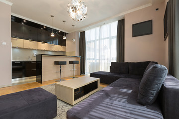 Interior of a modern open plan hotel apartment, living room