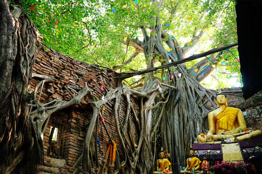 Buddha statue in old church of Wat Ranam church .The church not roof .It landmark of Singburi Thailand