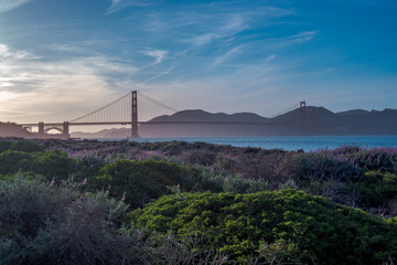 San Francisco Crissy Fields
