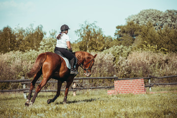 A woman jockey participates in competitions in equestrian sport, jumping.