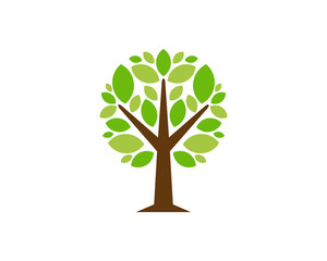 Obraz premium Tree Icon Logo Design Element