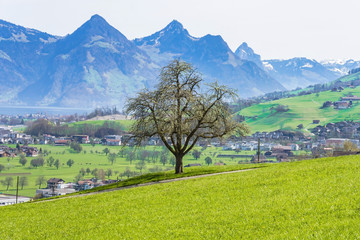 View of the town of Stans in Switzerland from the foot of Mt. Stanserhorn at the beginning of May. The town of Stans is the capital of the Swiss canton of Nidwalden.