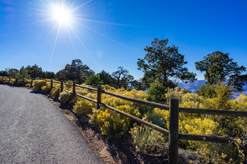 Fototapeta premium Desert View Watch Tower View with Green Grass and Tree and Sun light