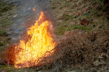 Fire, dry grass burns. Be careful with the fire in the open air