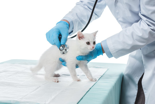 cropped image of veterinarian examining kitten by stethoscope isolated on white background