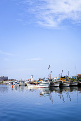 Fototapeta na wymiar Fishing village port in Yeongdeok-gun, Korea.