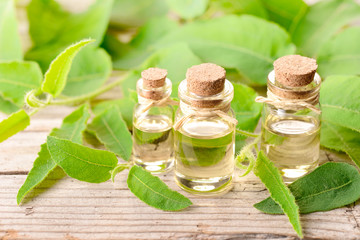 eucalyptus essential oil and fresh eucalyptus on the wooden board
