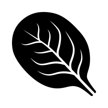 Spinach vegetable leaf flat vector icon for food apps and websites