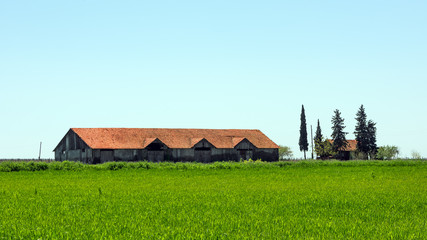Old abandoned farm building in green field