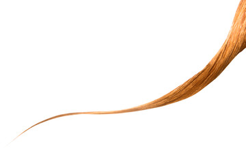 Light curl of hair macro is isolated on white background