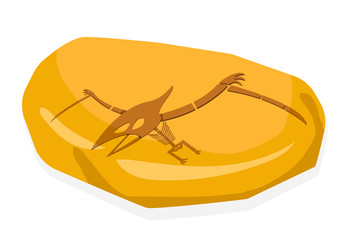 Pterosaurs bone in amber fossil, on white vector © jiaking1