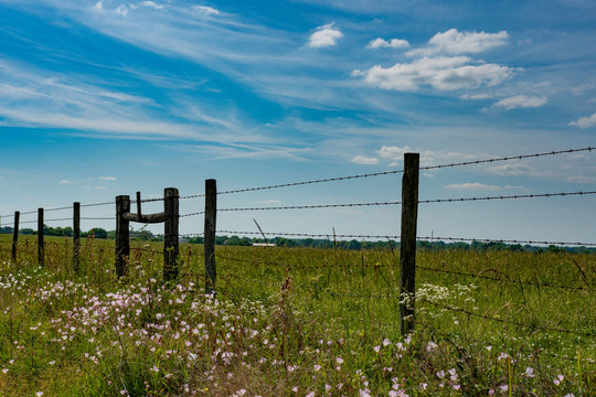 Fenceline background