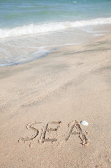 Handwriting text 'SEA' with little white shell on sand beach