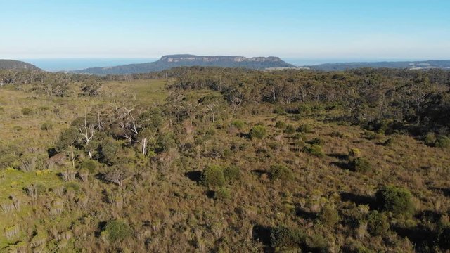 Aerial drone footage Australia bush forest landscape  
