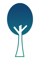 Obraz premium tree plant isolated icon vector illustration design