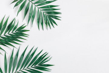 Leaf pattern. Green tropical leaves on gray background. Summer concept. Flat lay, top view, copy space