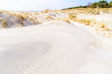 Spraggehusen, Sweden - Natural ripples on the sand dunes on a sunny spring day.
