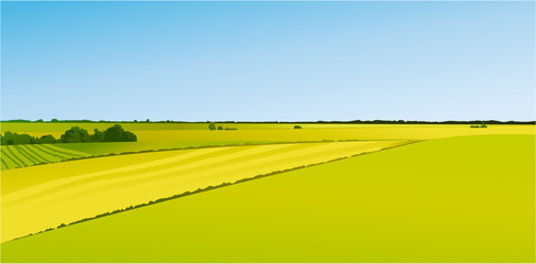 Rural landscape with green fields