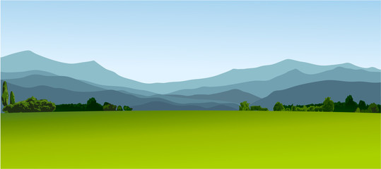 Ländliche Landschaft mit grünen Feldern