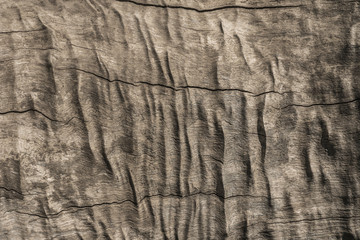 magic wavy curly wood texture