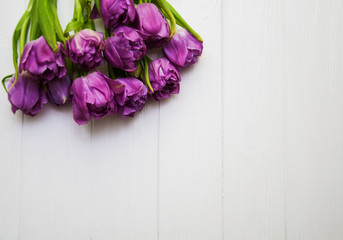 Spring tulip flowers