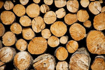 Pile of wood logs storage for industry.