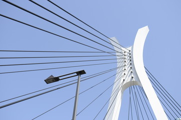 Fototapeta premium 斜張橋