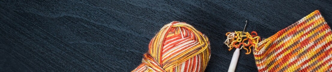 Banner of Skein of thread and crochet hook with case. Copy space