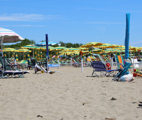umbrellas open at the beach