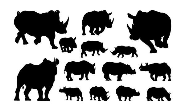 Set of Rhino silhouette, Animal Silhouette