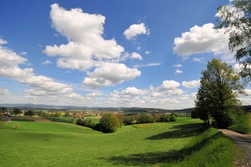 Eixendorfer See Natur