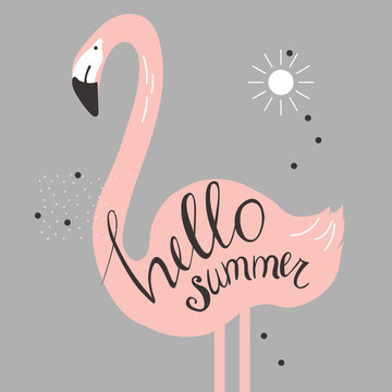 Hello summer.  Vector illustration with flamingo