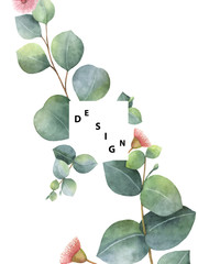 Obraz premium Watercolor vector template with green eucalyptus leaves and branches.