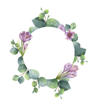 Watercolor vector round wreath with eucalyptus leaves and flowers of saffron.