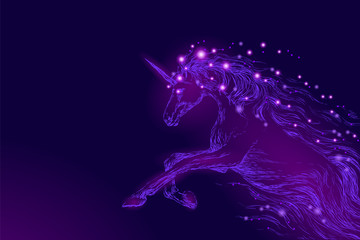 Purple violet glowing horse unicorn riding night sky star. Creative decoration magical backdrop shining cosmos space horn fairy myth moon light fantasy background vector illustration © LuckyStep