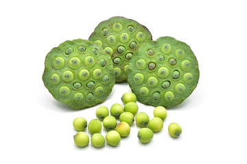 Lotus seeds green Isolated