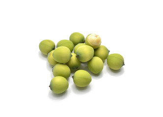 Lotus seeds green Isolated