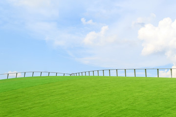 Fototapeta premium Iron fence on green grass