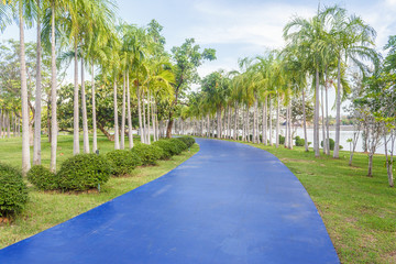 Naklejka premium Walkway for jogging in park