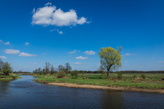 Liwiec Bilder Durchsuchen 264 Archivfotos, und Videos