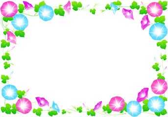 朝顔　フレーム