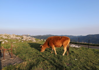 四国カルスト　天空の道
